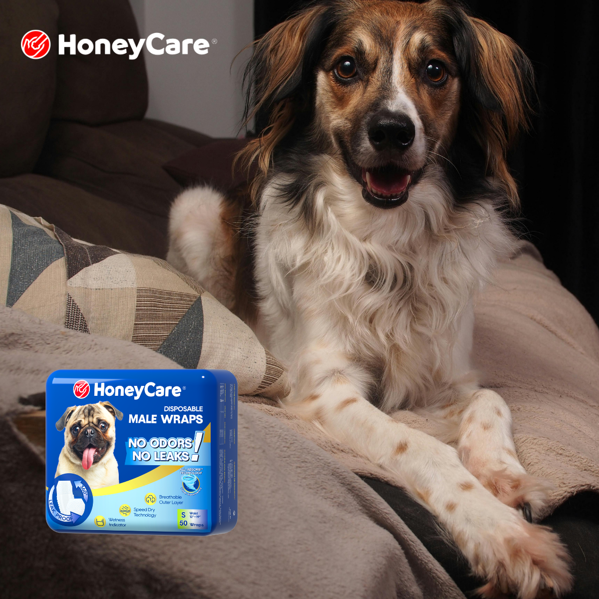 The Hidden Water Cost: What No One Tells You About Cleaning Reusable Dog Belly Bands