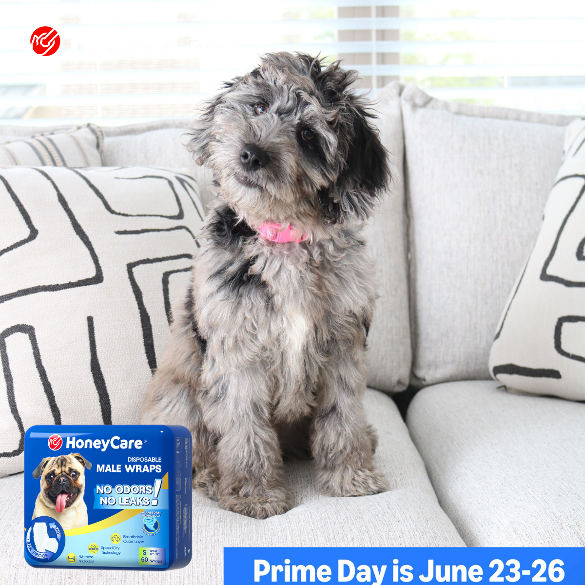 Dog Diaper and Pee Pad Together: Smart Guide