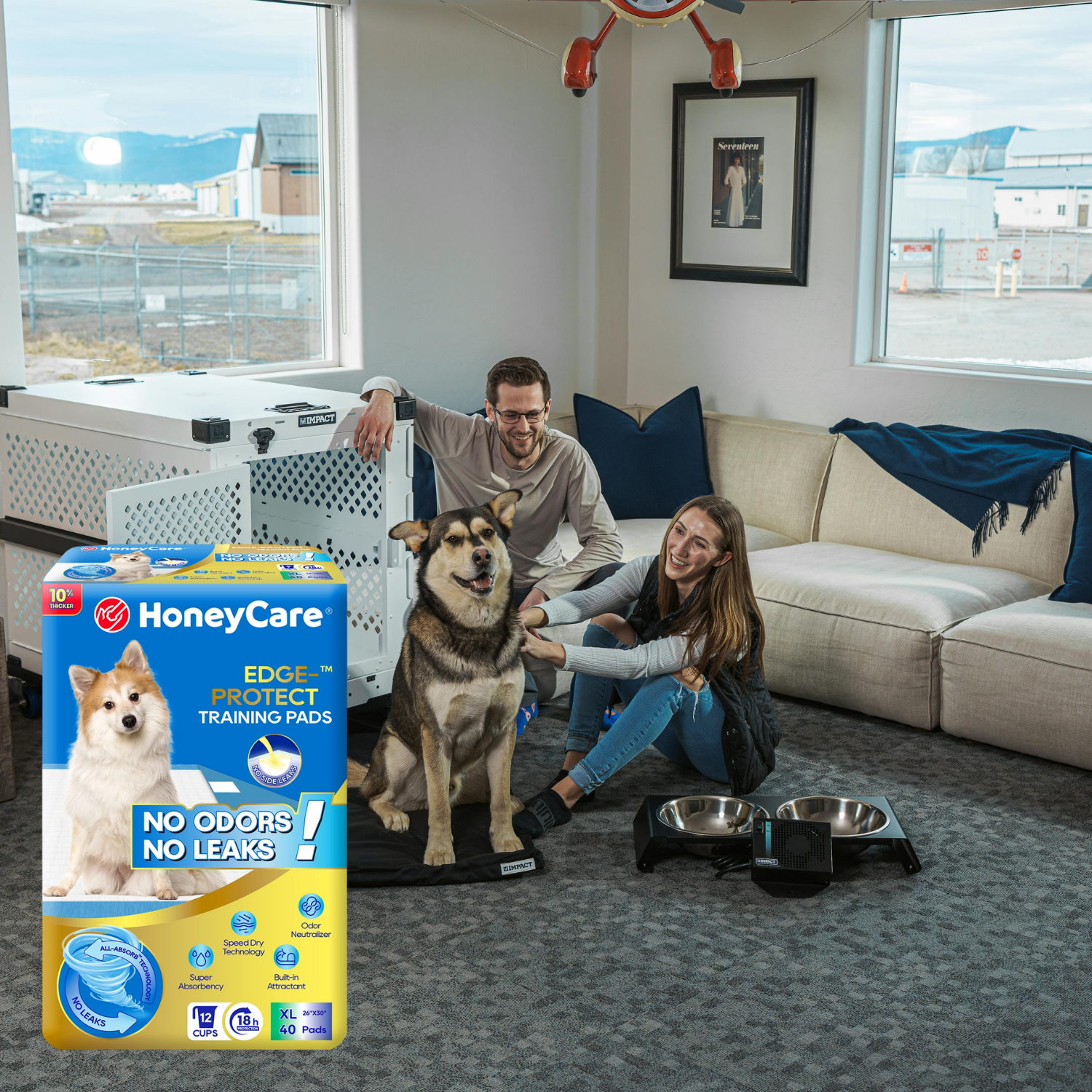 Moving Dog Pee Pad: Expert Tips to Reach the Door Safely