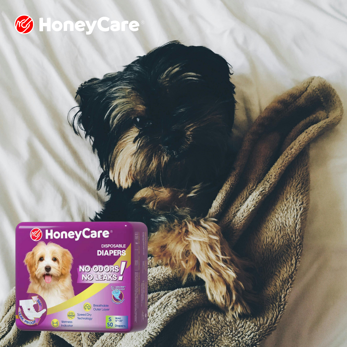 Best dog diapers for female in heat: 11 Easy, Proven Picks