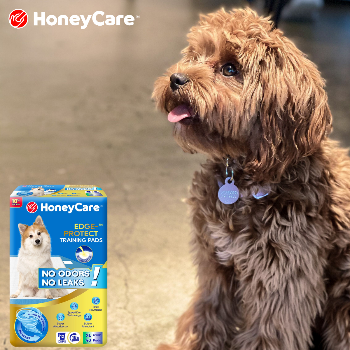 Travel Pee Pads for Dogs: The Ultimate Guide to Stress-Free Vacations