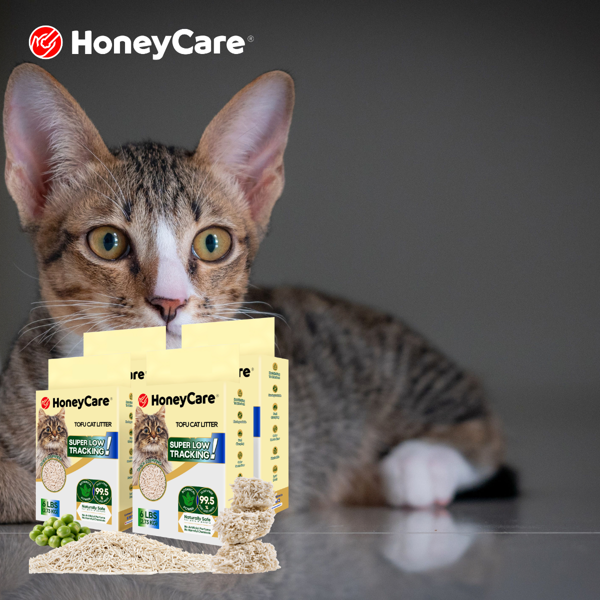 Cat Urine Health Signals: What the Clumps Can Tell You