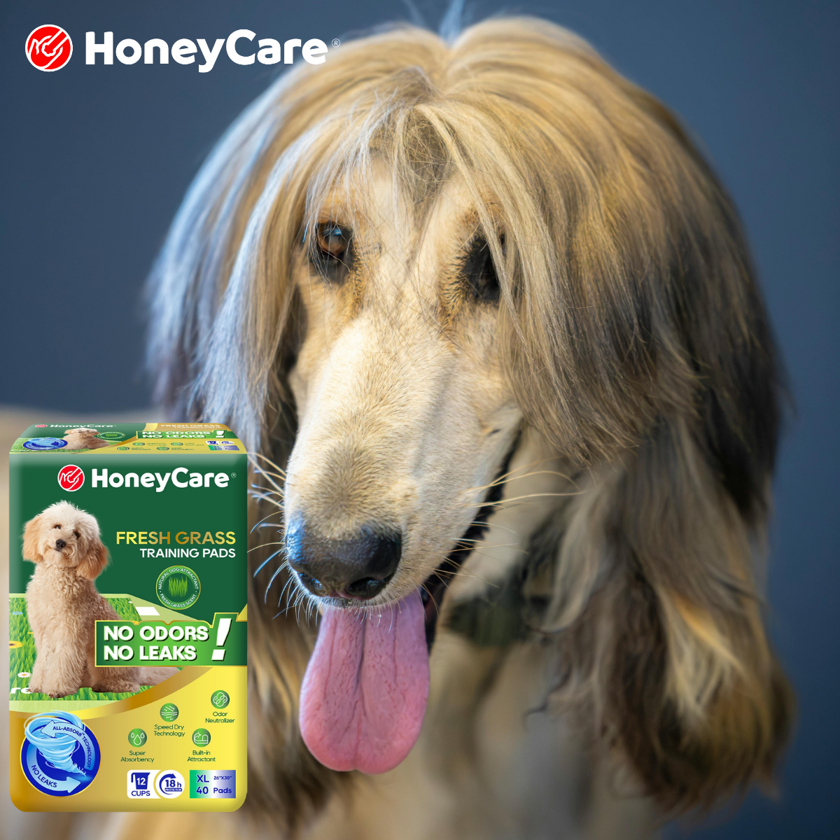 Travel Pee Pads for Dogs: The Ultimate Stress-Free Guide