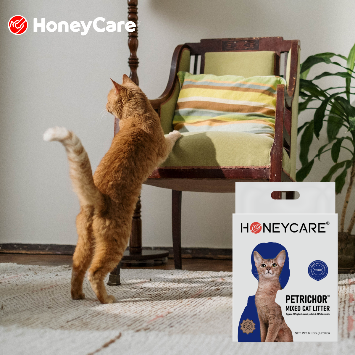 Research-Based Comparison: HoneyCare vs Other Plant-Based Cat Litters