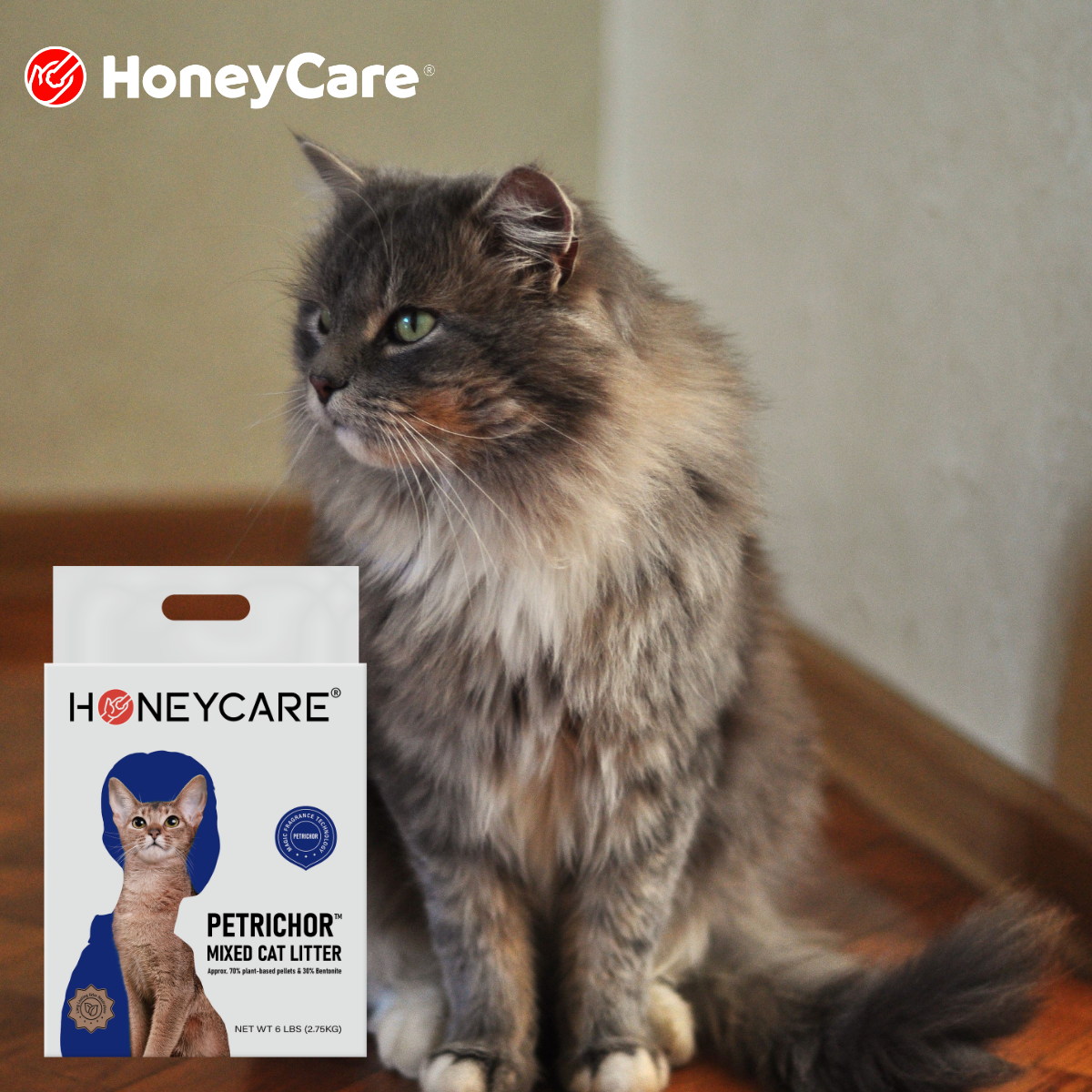 Tofu Cat Litter vs Clay: Ultimate Smart Guide