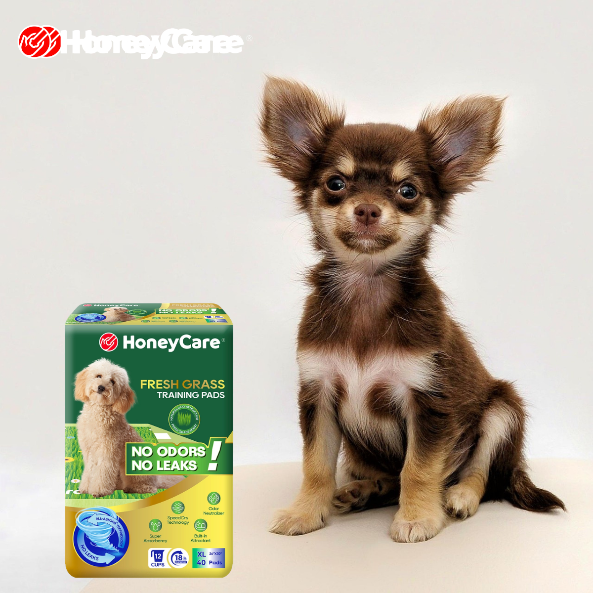 Best Pee Pads for Small Dogs and Toy Breeds