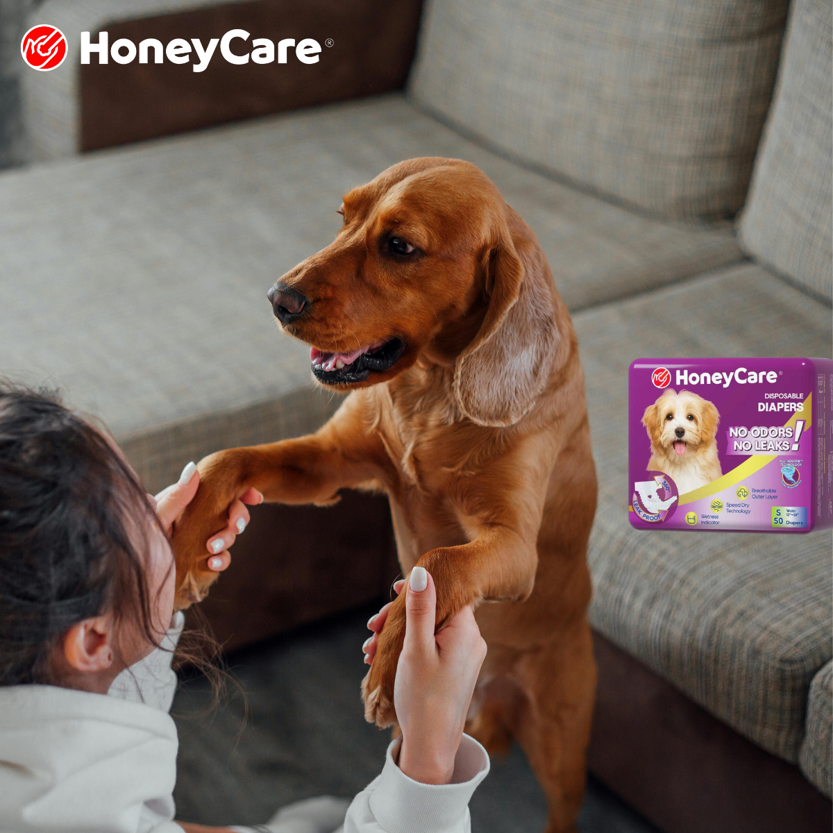 Best dog diapers for female in heat: 7 Ultimate Picks