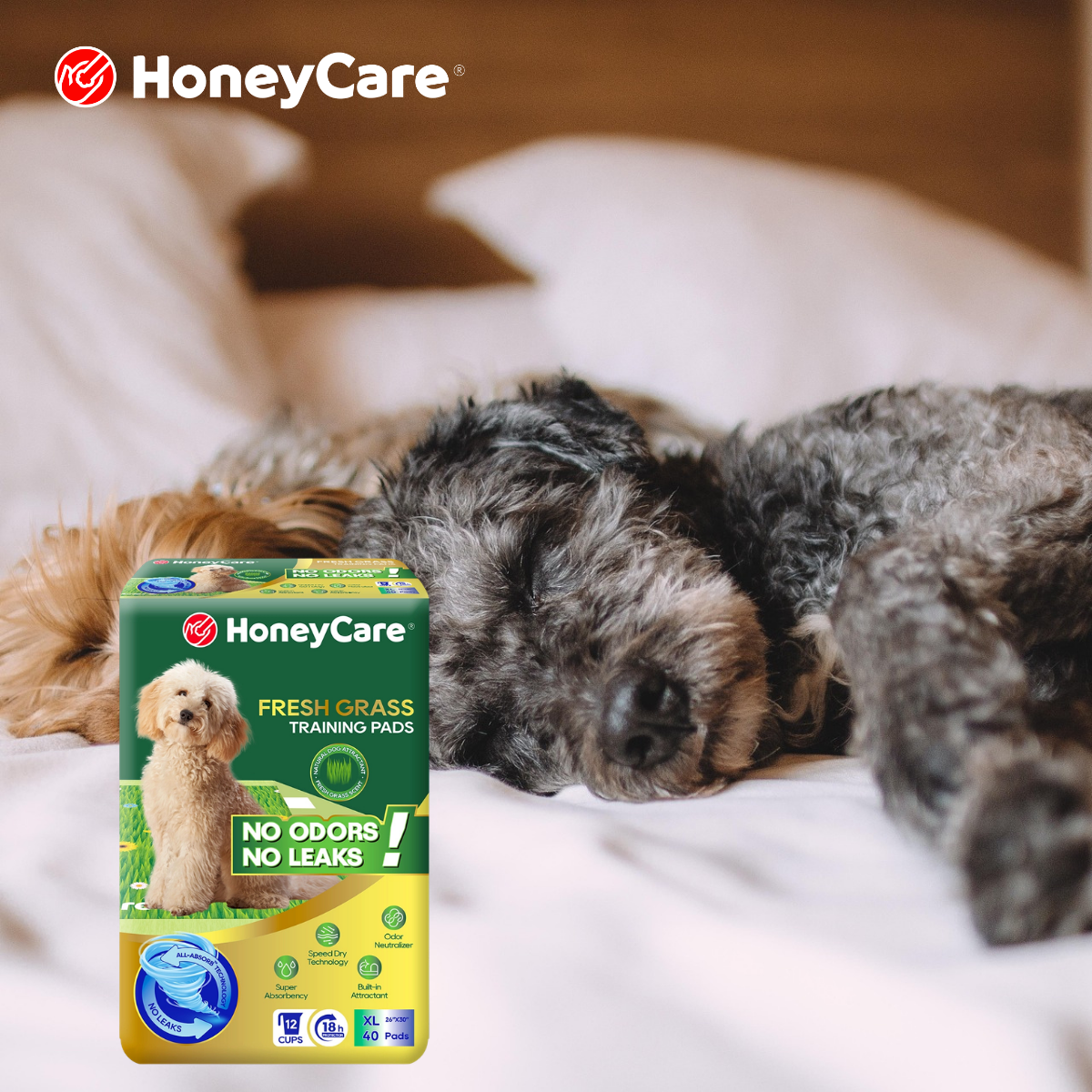 Pee Pads for Blind Dogs: A Safer Indoor Potty Setup