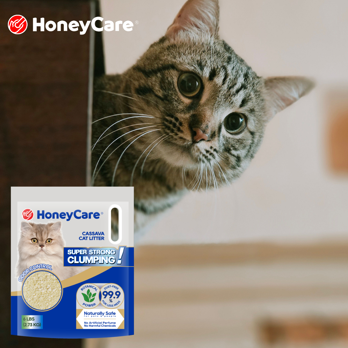 Dust Free Cat Litter: The Smart Healthy Choice