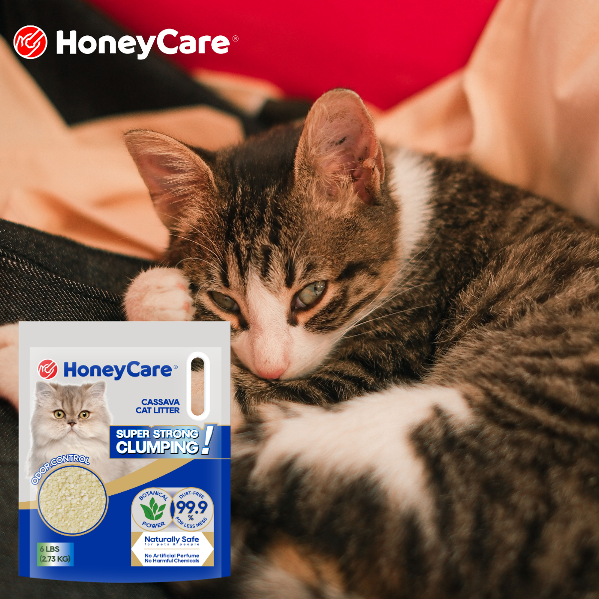 Dust-Free Cat Litter Guide: What Cat Parents Should Know