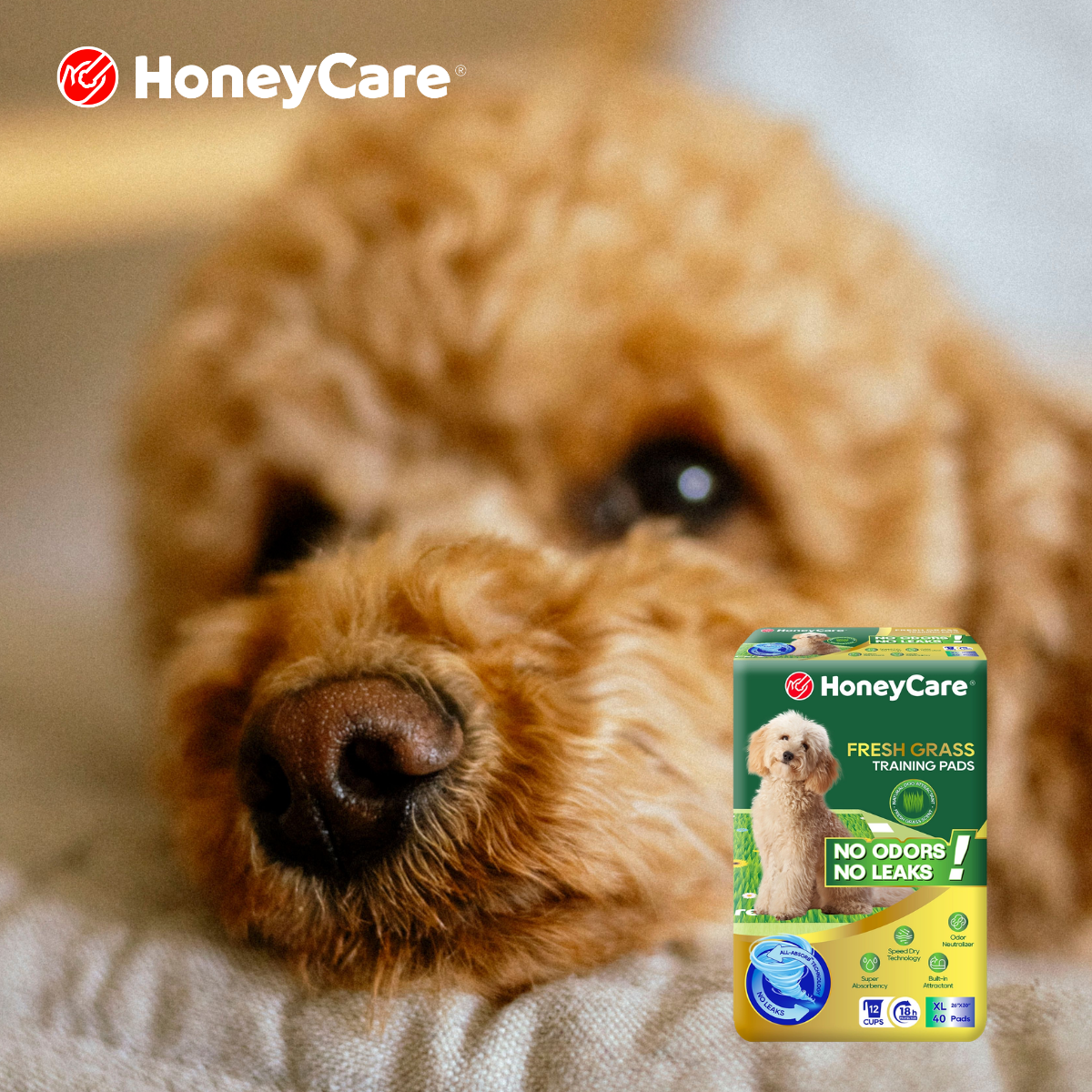 Dog Incontinence Vet Checklist