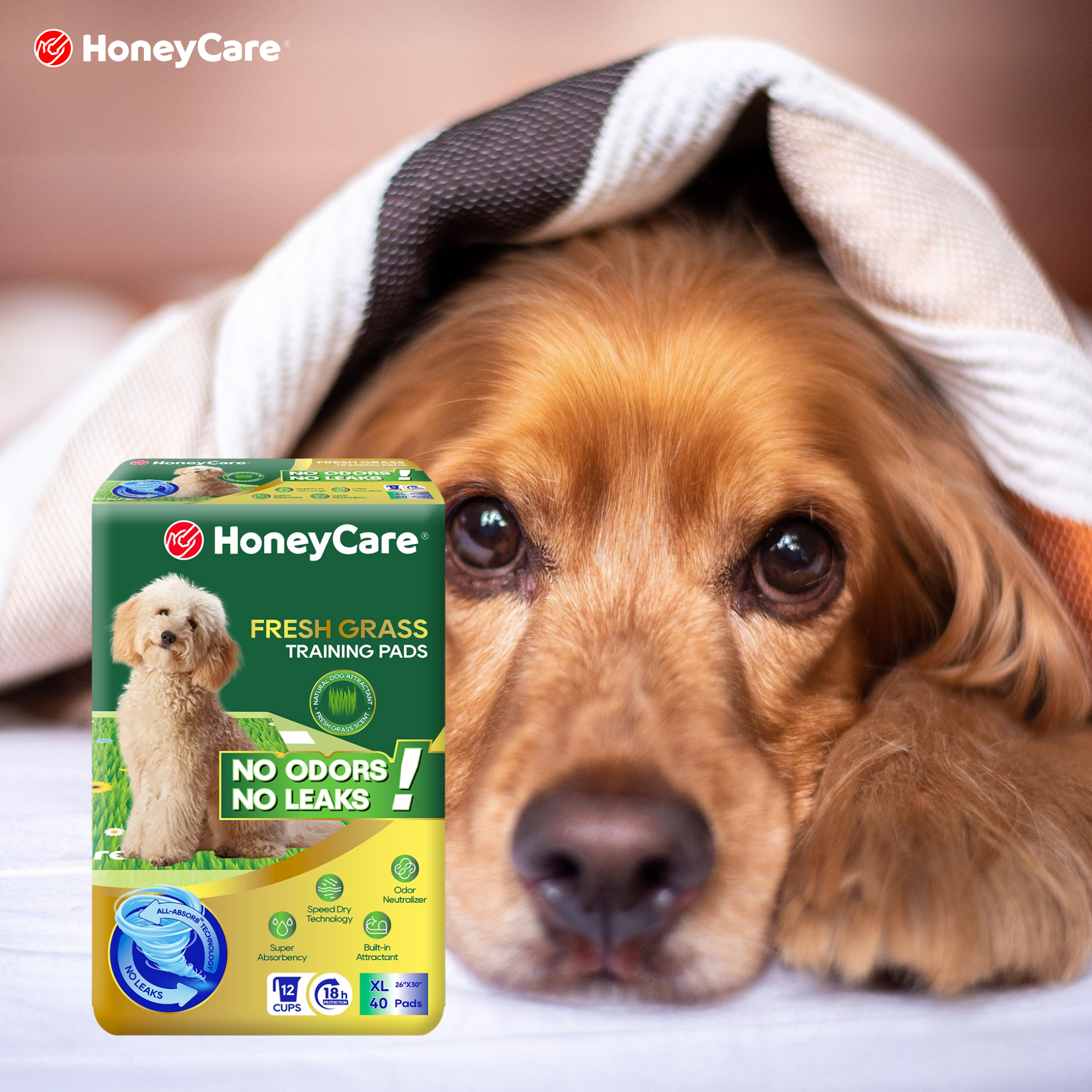 Pee Pads for Tile, Vinyl, and Laminate Floors