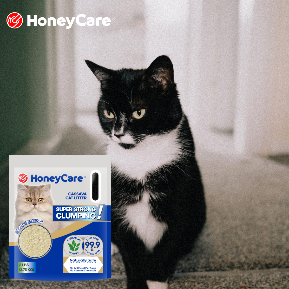 Low Tracking Cat Litter: What Actually Works?