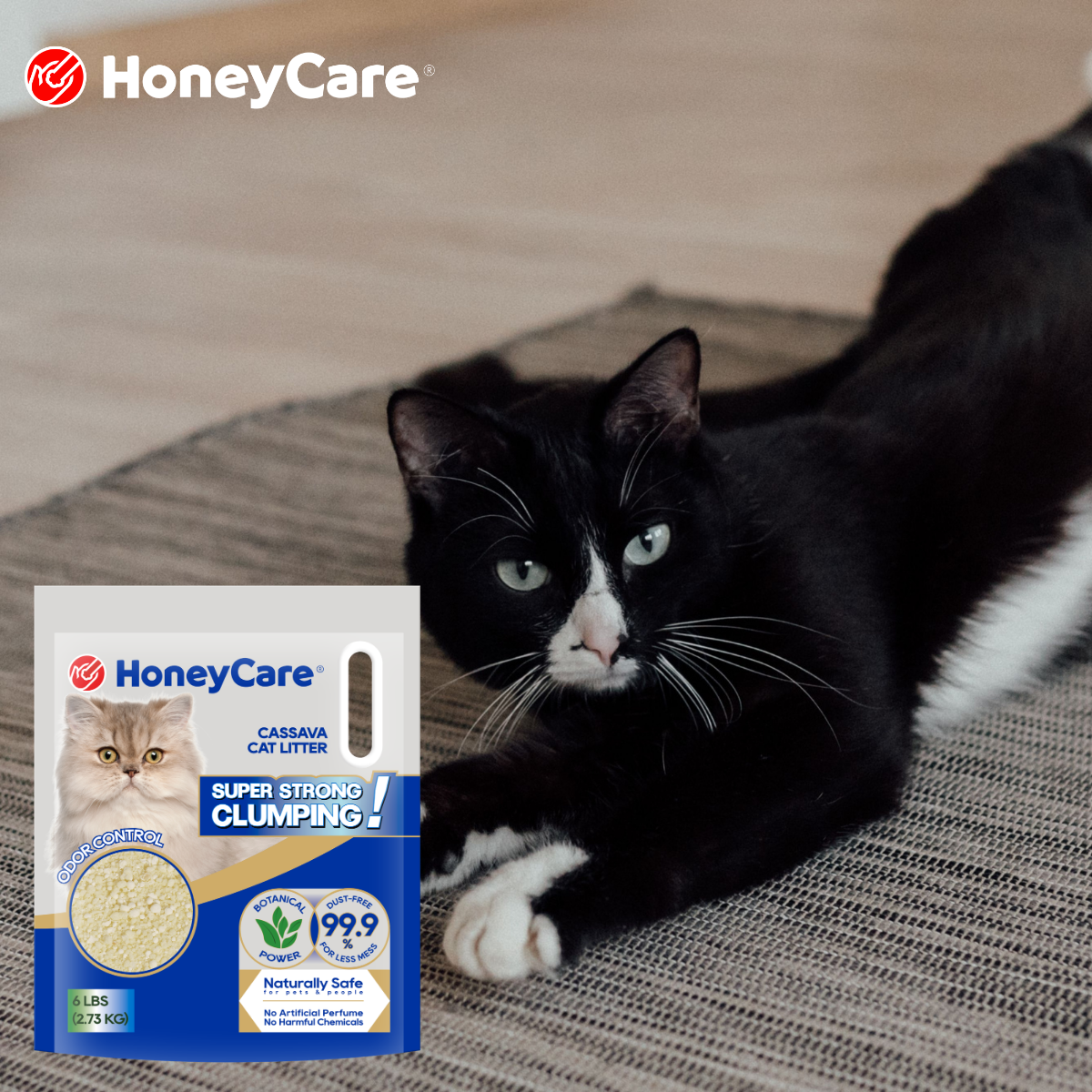 Tofu Cat Litter: Pros, Cons, and Who Should Use It