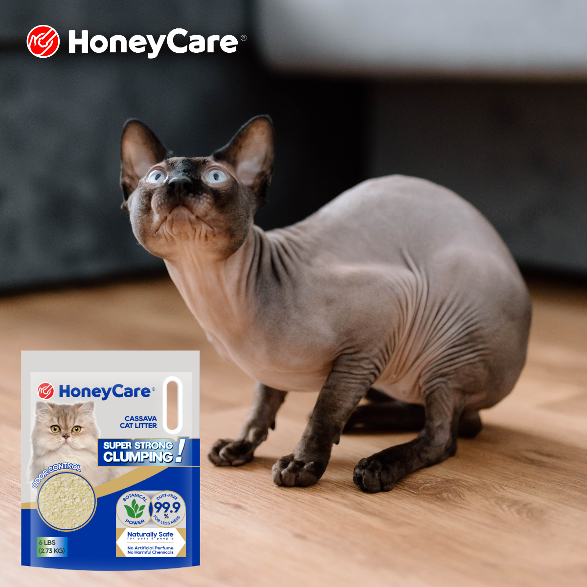 Flushable Cat Litter: What to Know Before You Flush
