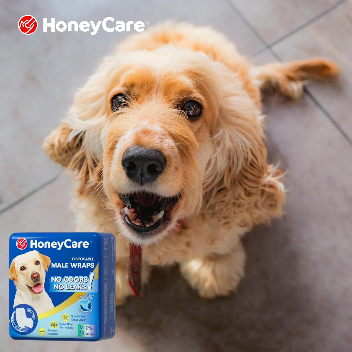 Dog Diapers For Long Hair: 7 Secrets to Stop Brutal Leaks