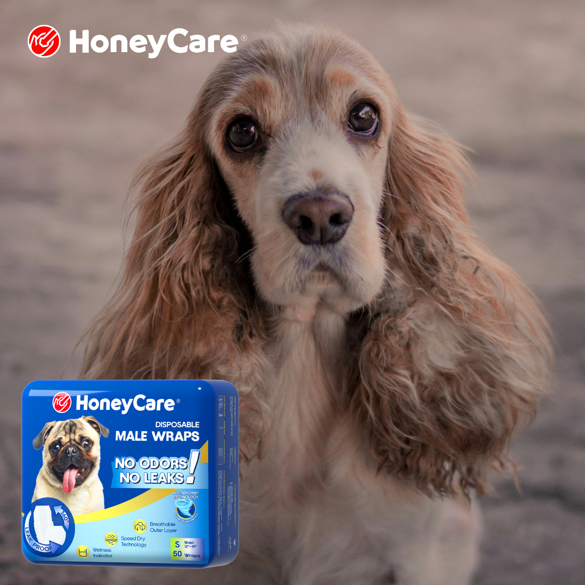 Pet Safe Cleaning Wipes: Avoid Pain With The Ultimate Guide