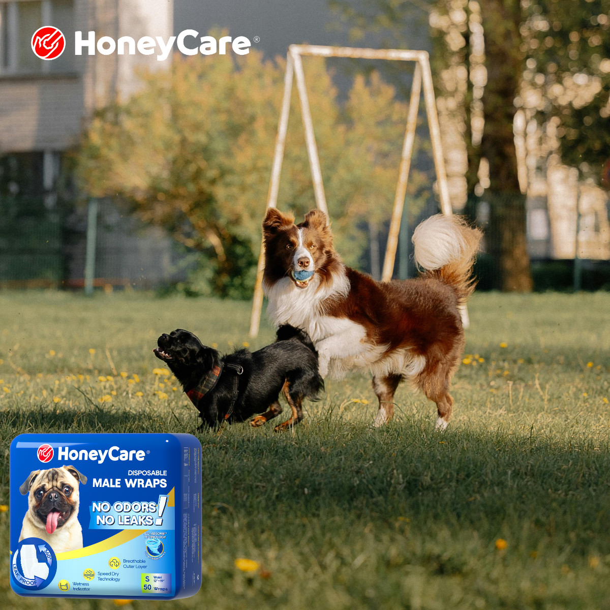 HoneyCare Dog Diapers Review: The Amazing Secret Tech