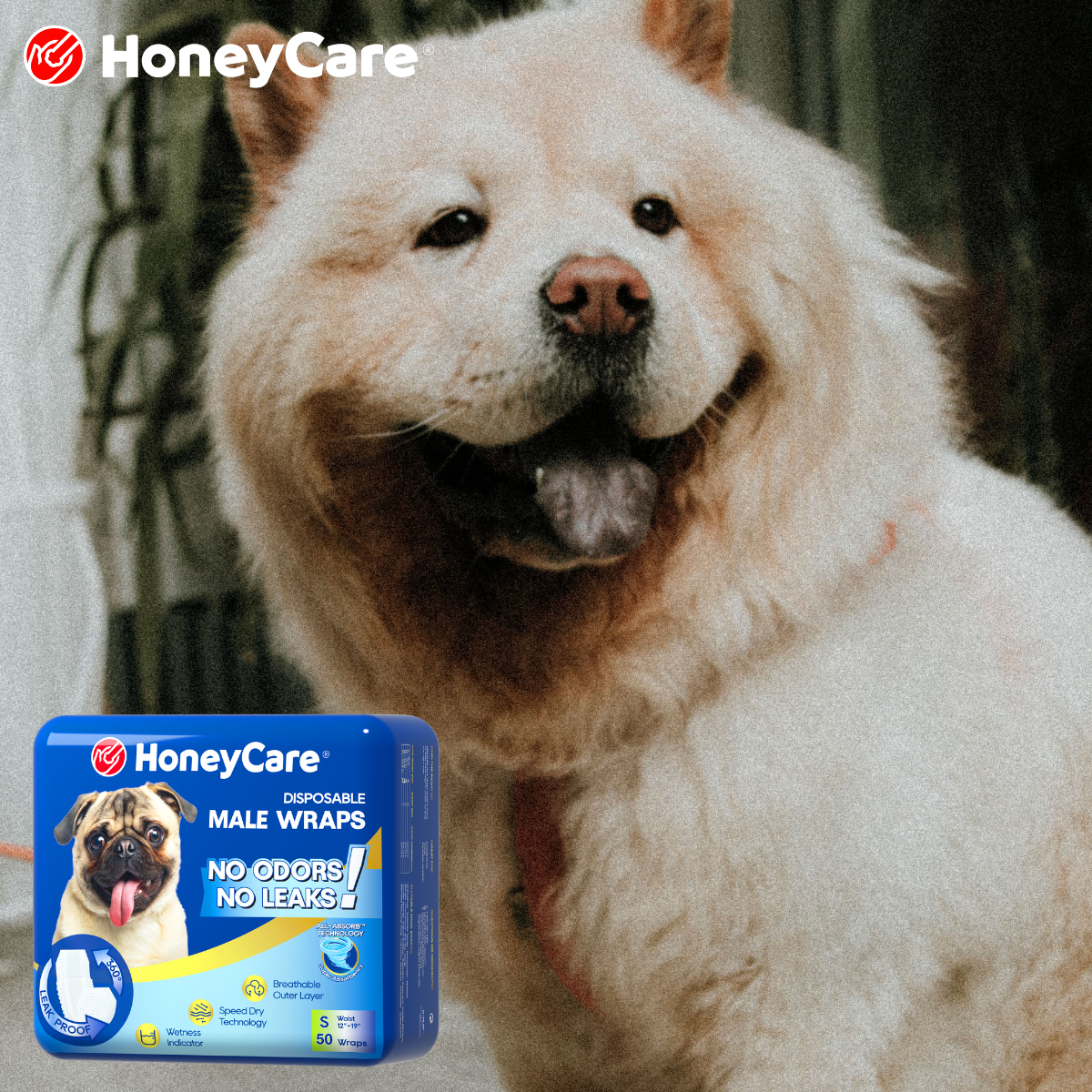 Dog Tracking Pee After Using Pad? Easy Clean Fixes