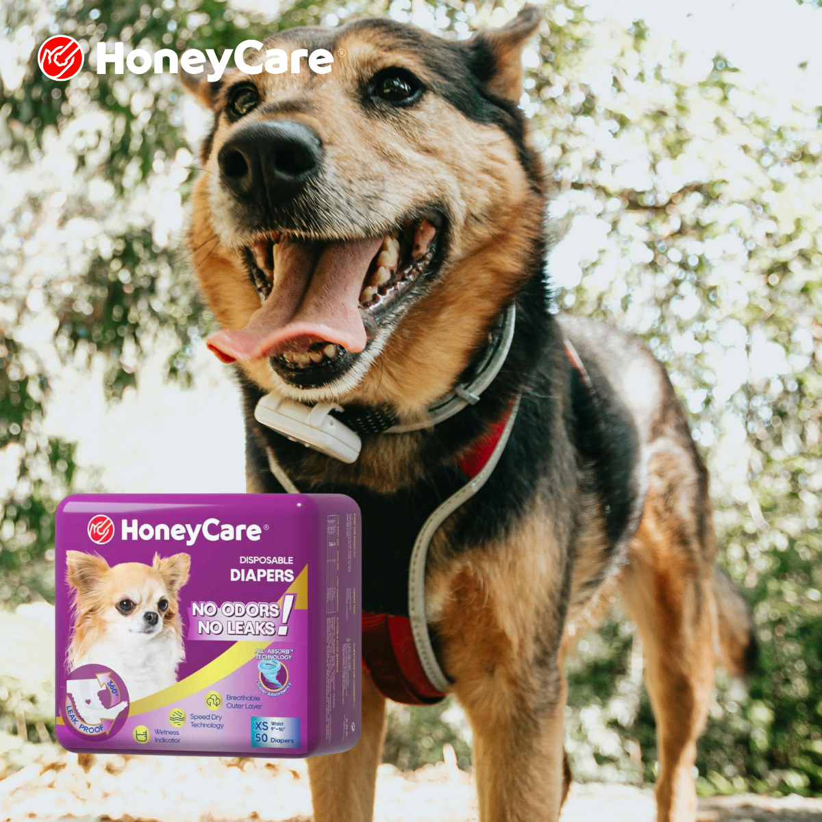 Punish Male Dog Heat? 7 Shocking Reasons It Backfires