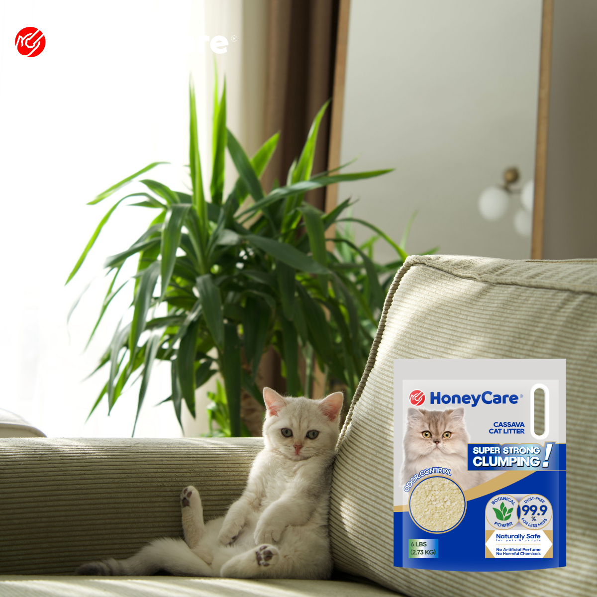 HoneyCare Tofu Cassava Mixed Cat Litter: Who It Is Best For