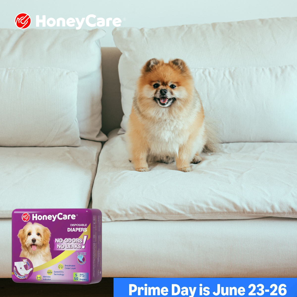 Dog Diaper vs Pee Pad: Essential Stress-Free Guide