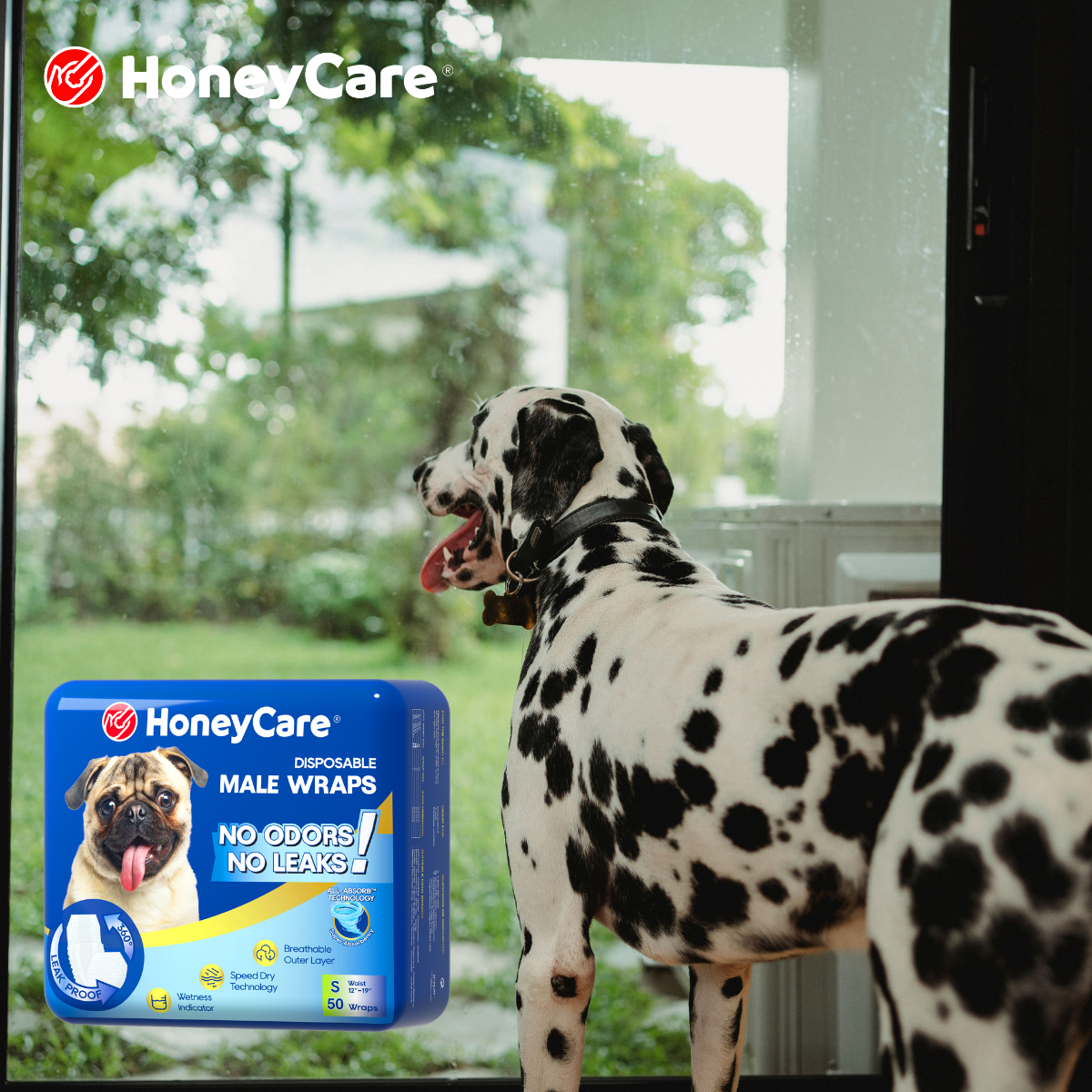 Dog Diapers for Car Rides, Vet Visits, and Travel Anxiety