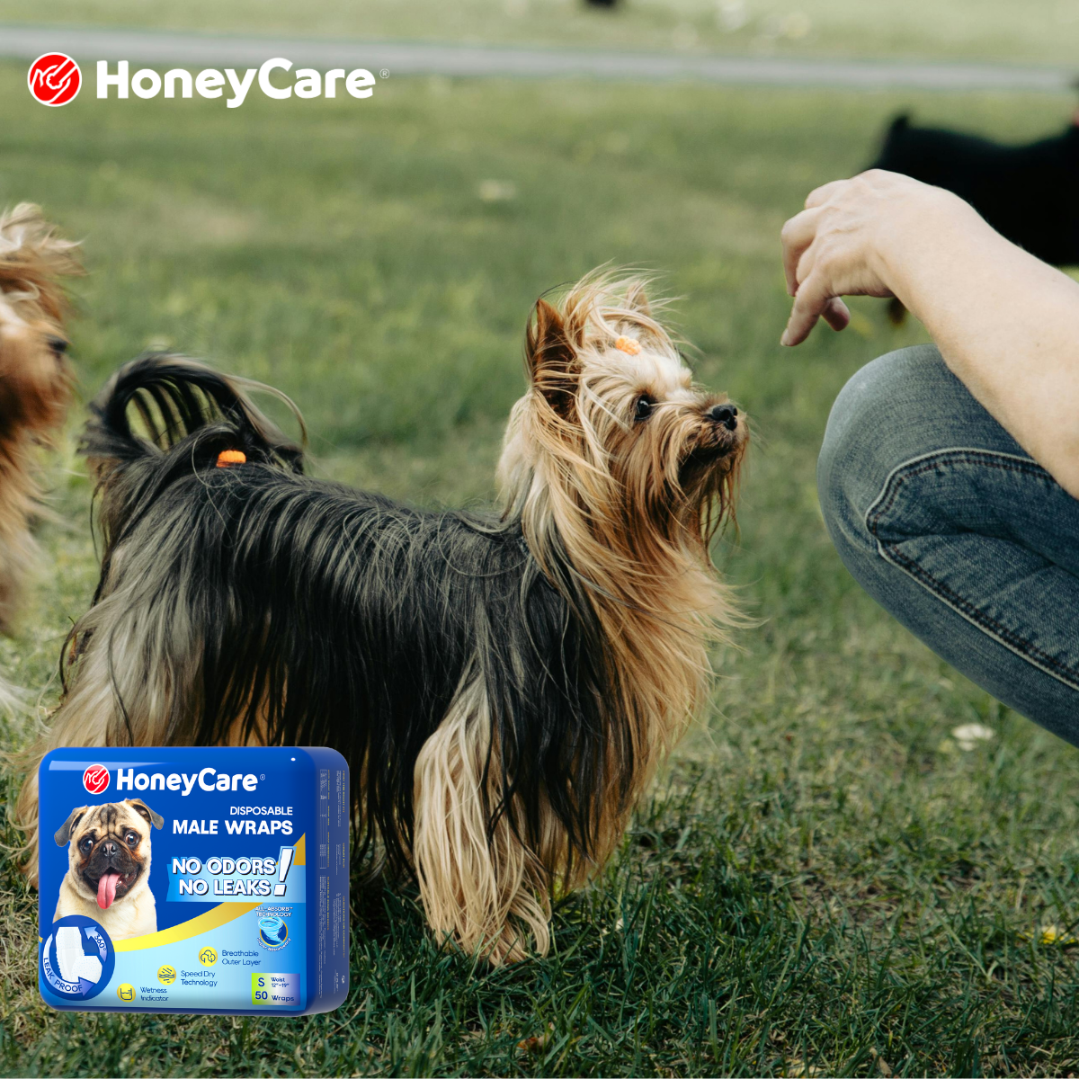 Disposable vs Washable Dog Diapers: The Surprising Truth About Sustainability