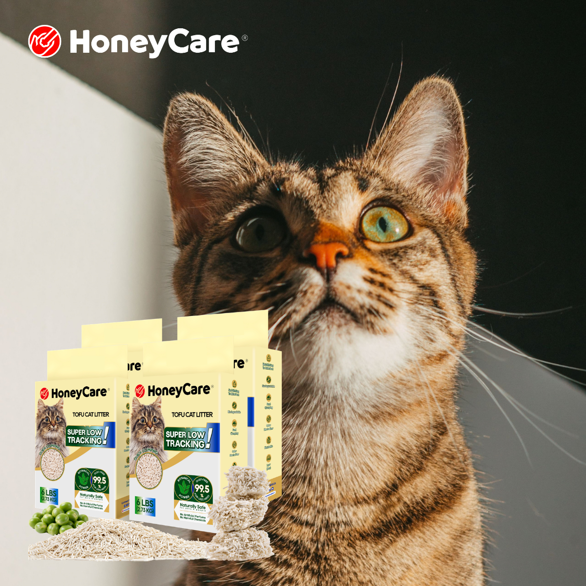 Cat Litter Materials Compared: All 10 Types in One Table
