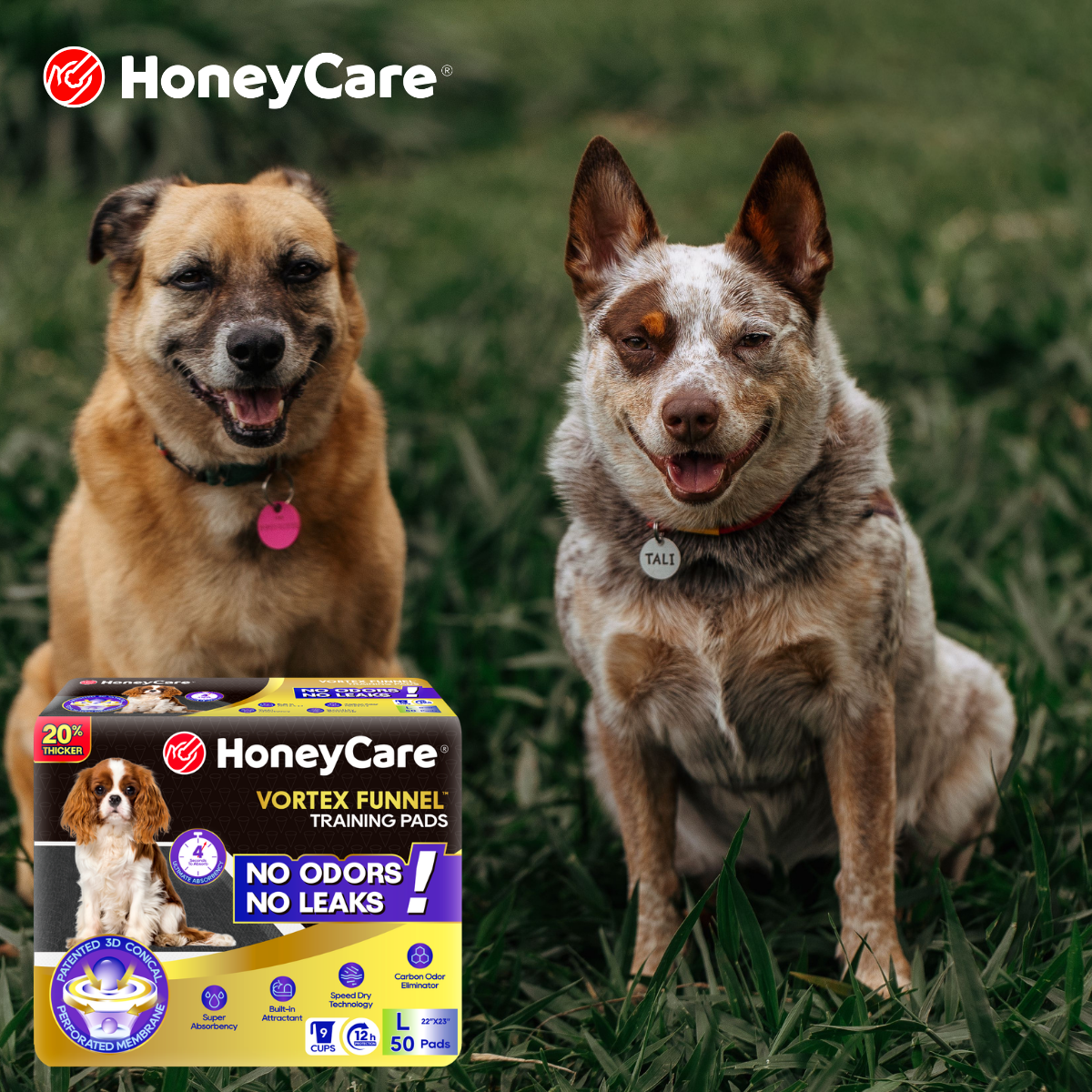 Are Scented Pee Pads Safe for Puppies?