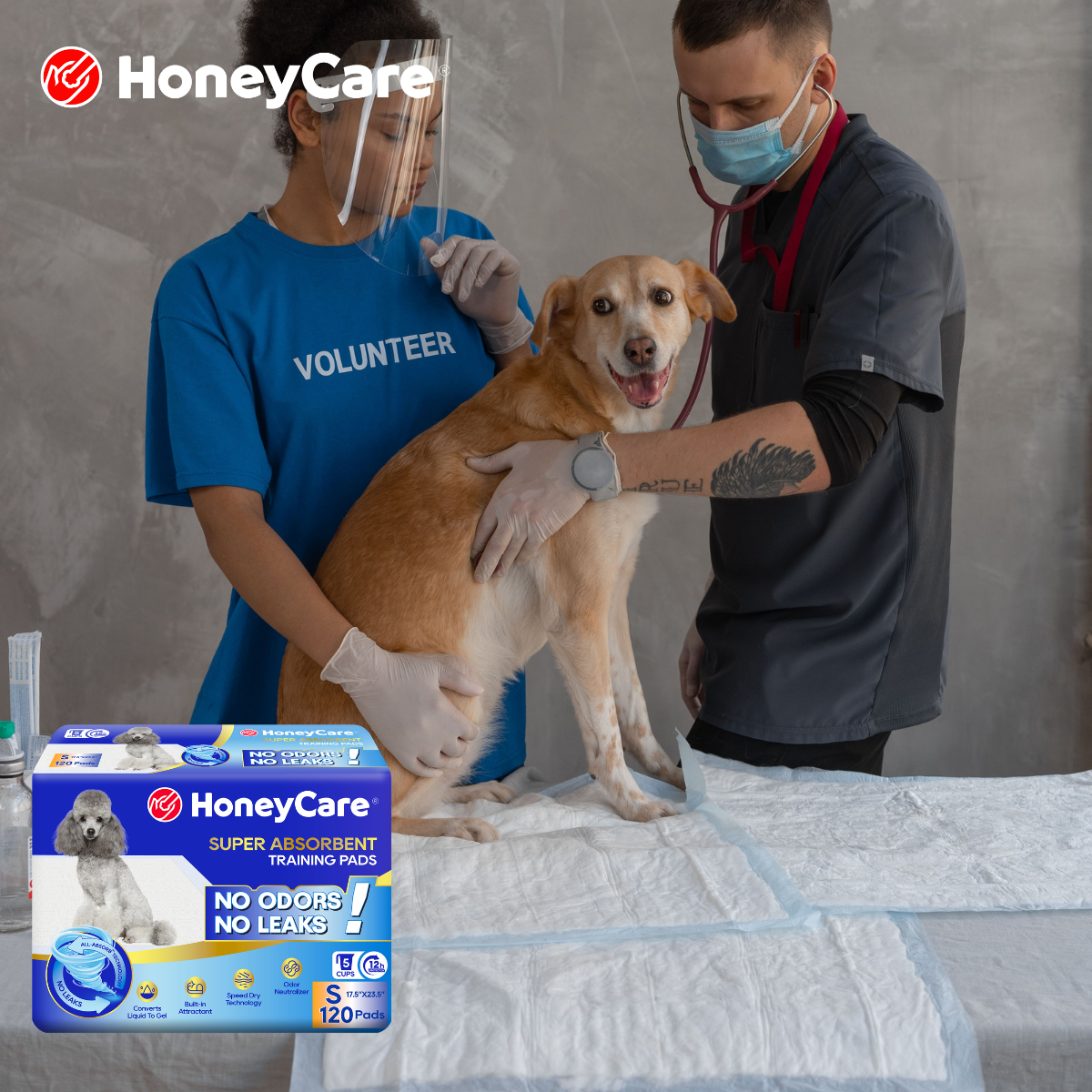How to Stop Dog Diaper Chafing