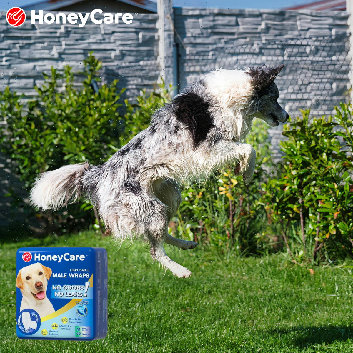 Dog Diapers for Heat: The Essential Stress-Free Care Guide