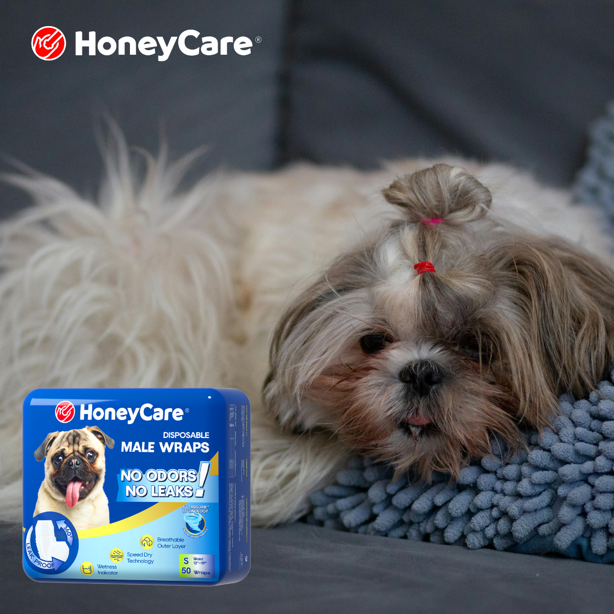 Dog Diapers Infection: 7 Honest Risks & How to Prevent Them