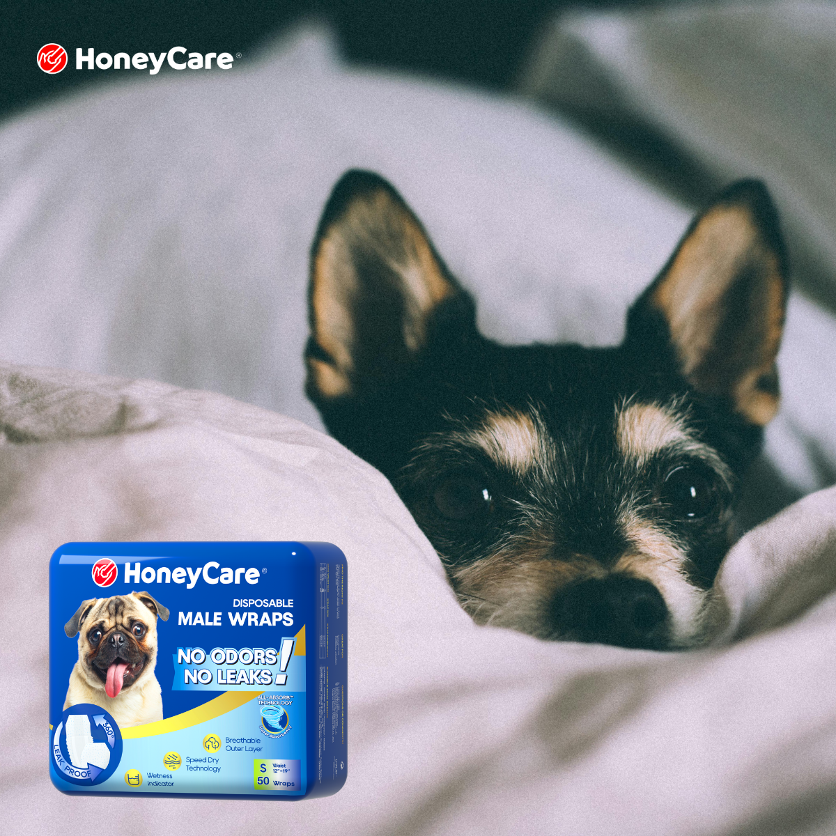 The Corgi & Dachshund Fit Guide: How to Stop Dog Wrap Slipping for Good