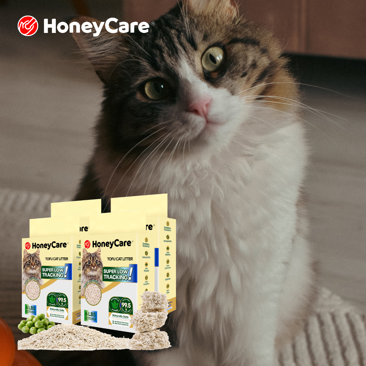 How to Read Cat Litter Labels: Claims, Certifications, and Weight