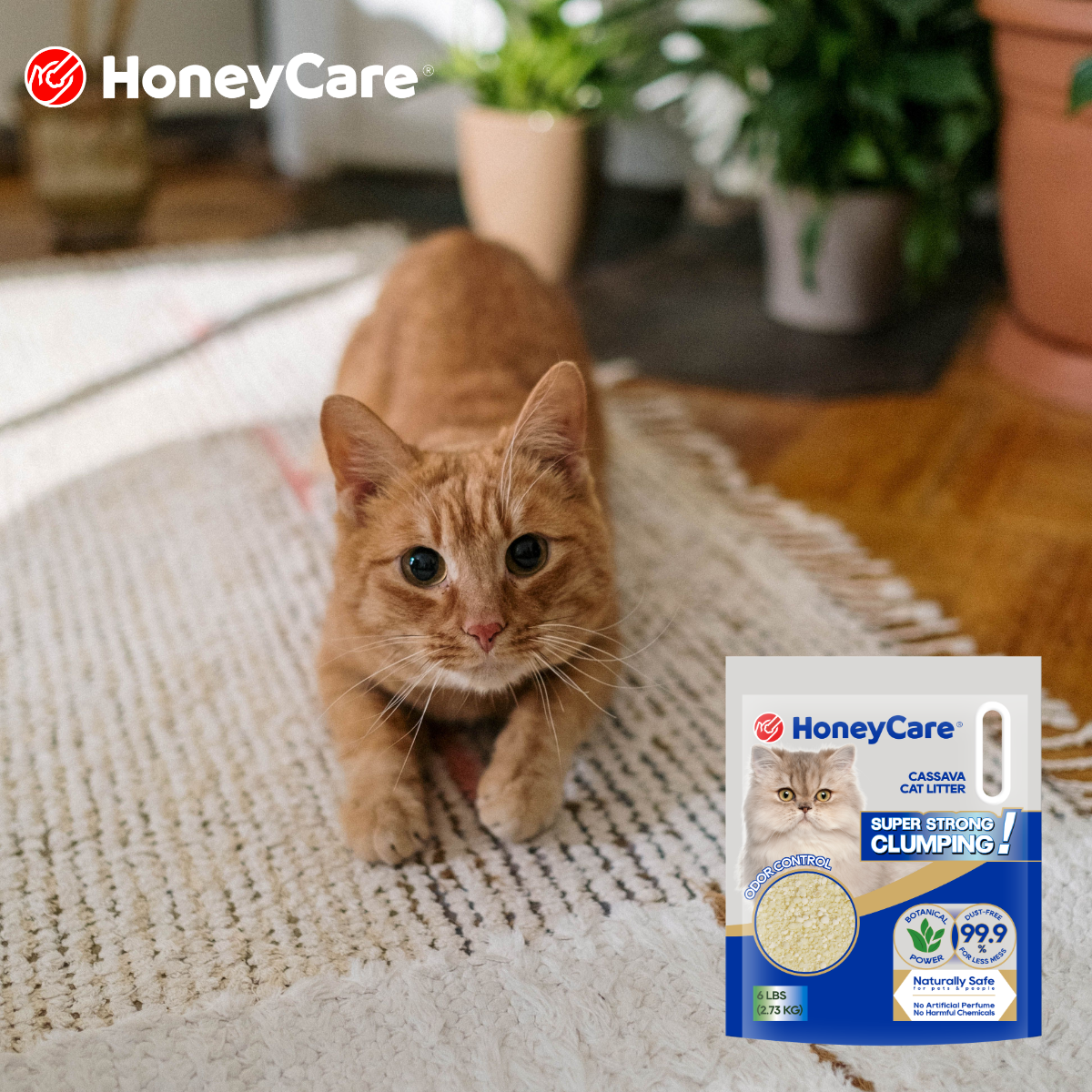 Cat Litter for Long-Haired Cats: How to Reduce Tracking