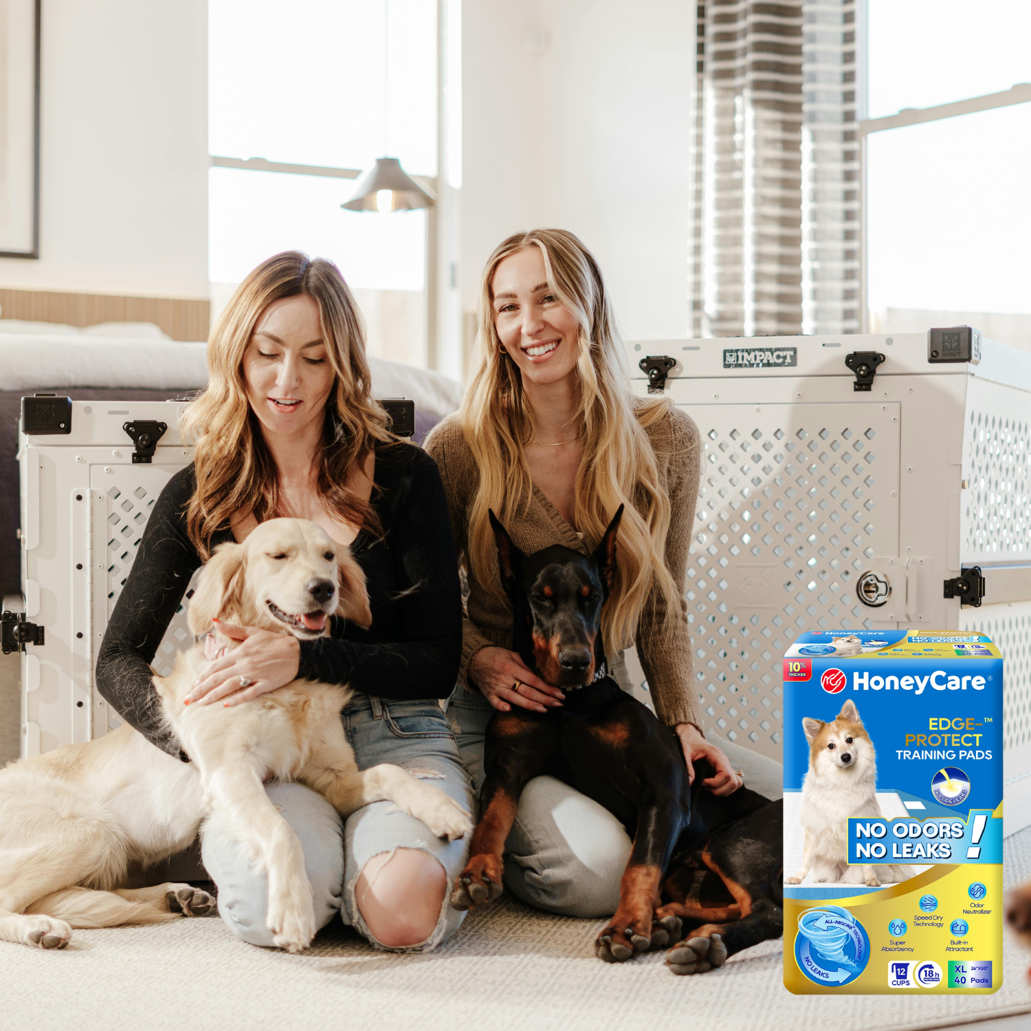Dog Peeing Around Pad? 5 Proven Fixes for Frustrating Leaks