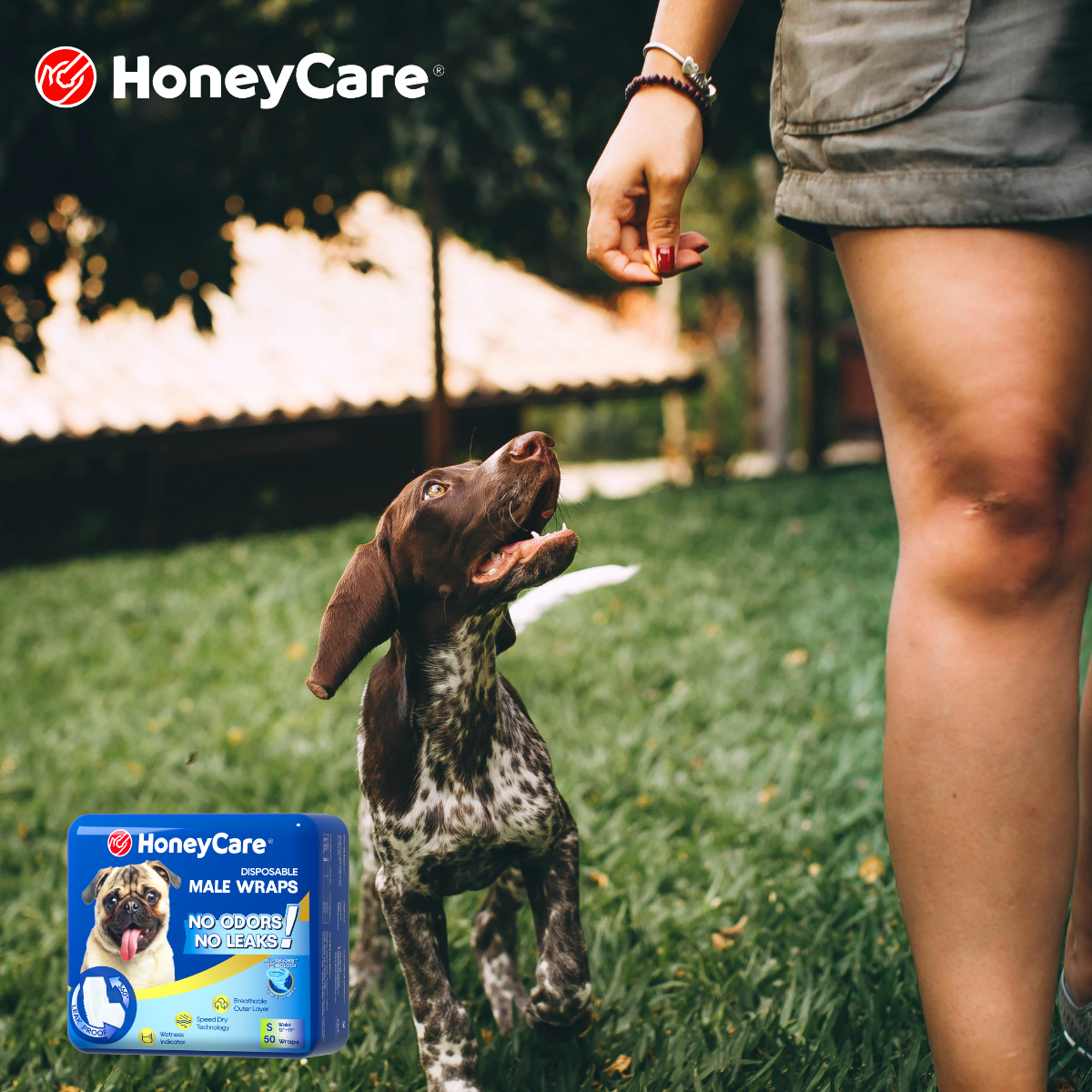 Male Dog First Heat: 11 Powerful Signs & Calm Tips