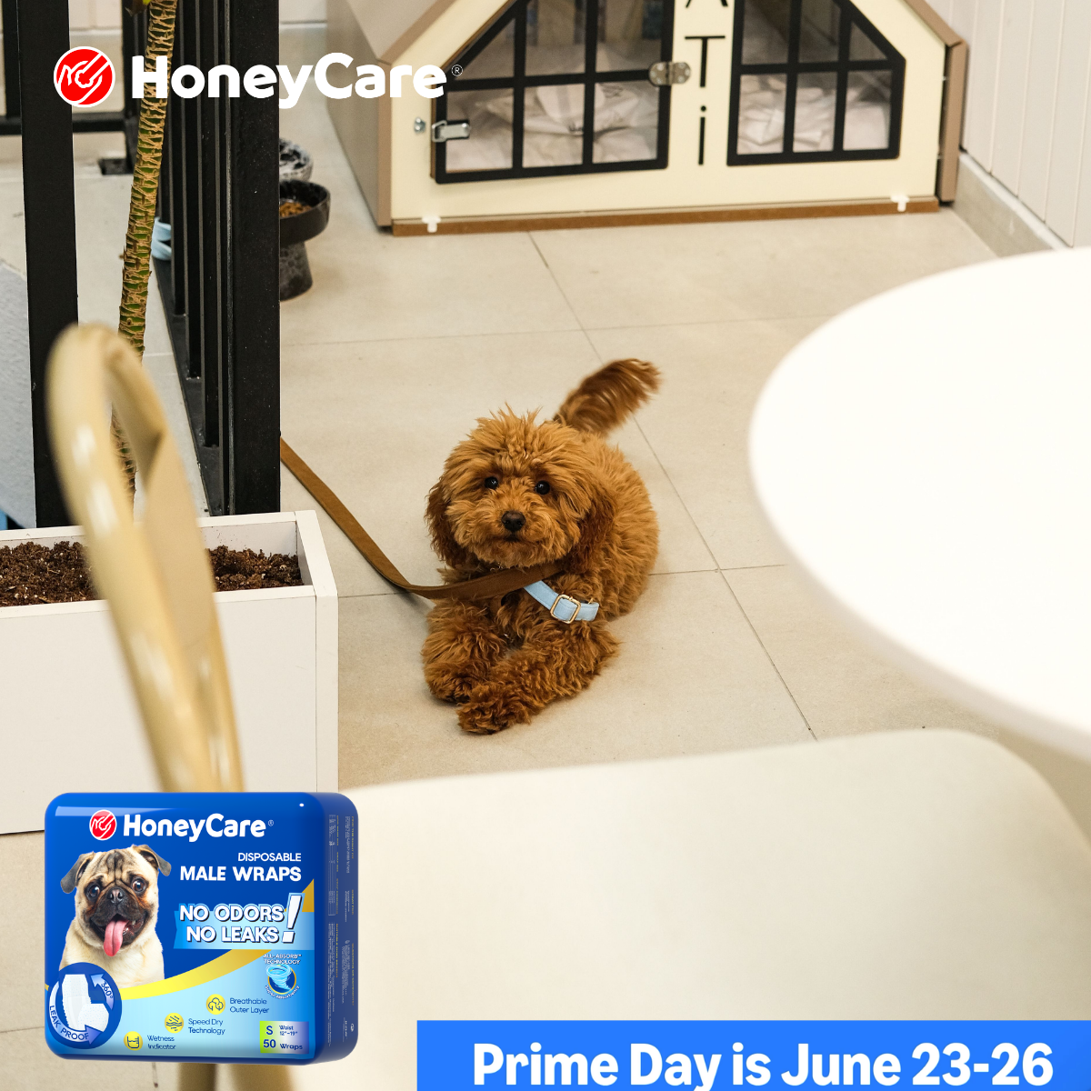 Best Dog Pee Pads for Odor Control: Ultimate Fresh Picks
