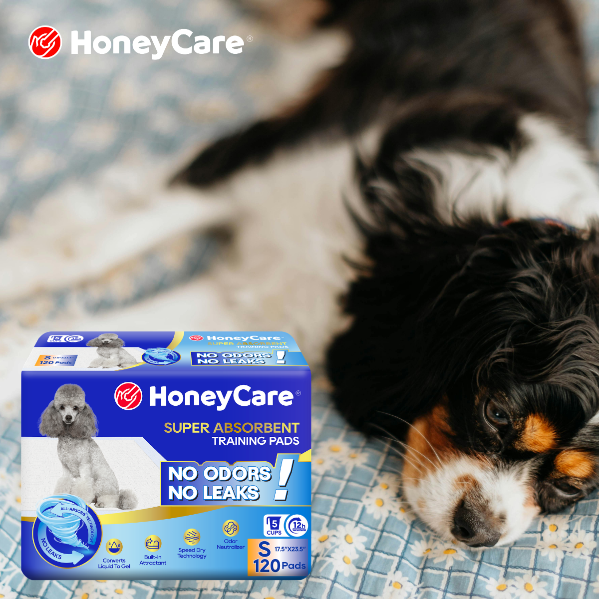How to Stop Your Dog from Shredding Pee Pads: An Expert Guide