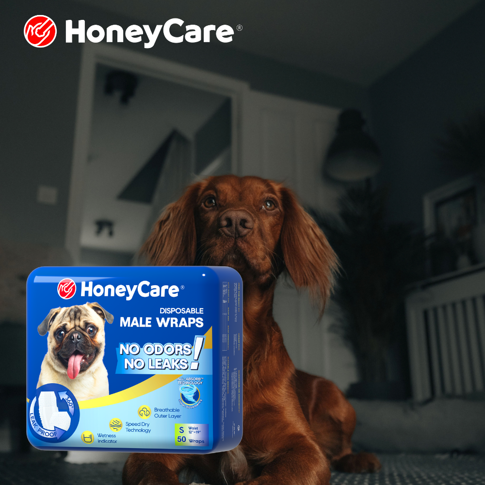 Q4 Prep: The Guest-Ready Pet Hygiene Checklist