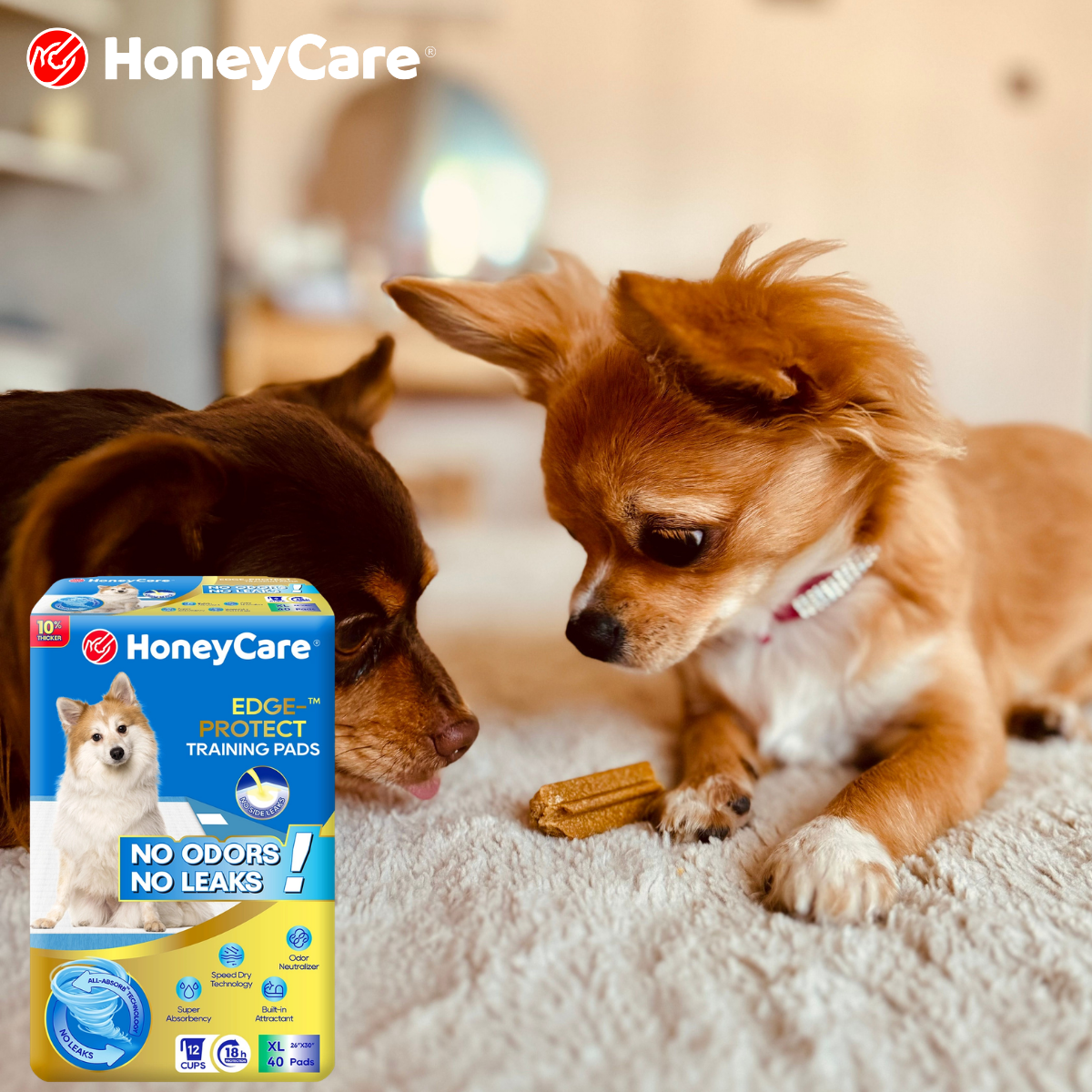 Mobility Limited Dog Potty: Easy Comfort Guide