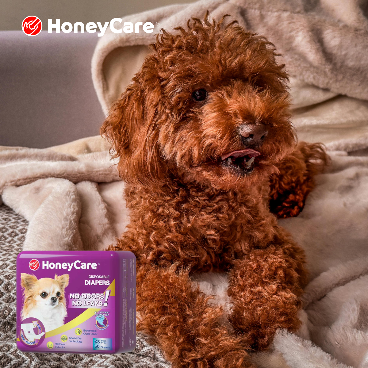 Diapers for Dogs Without Tails: 7 Proven Ways to Stop Leaks