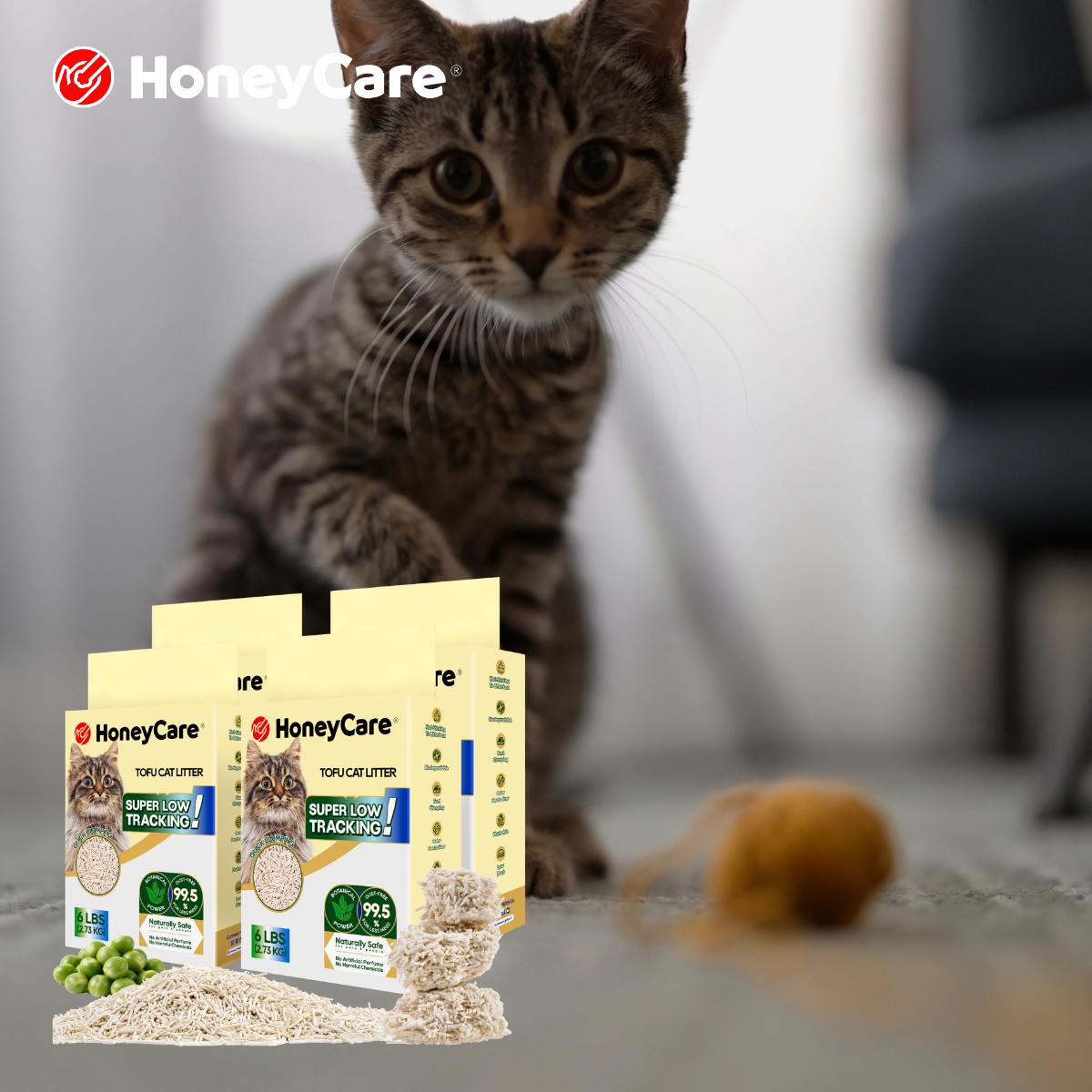Cat Litter FAQ: 30 Questions Cat Parents Actually Ask