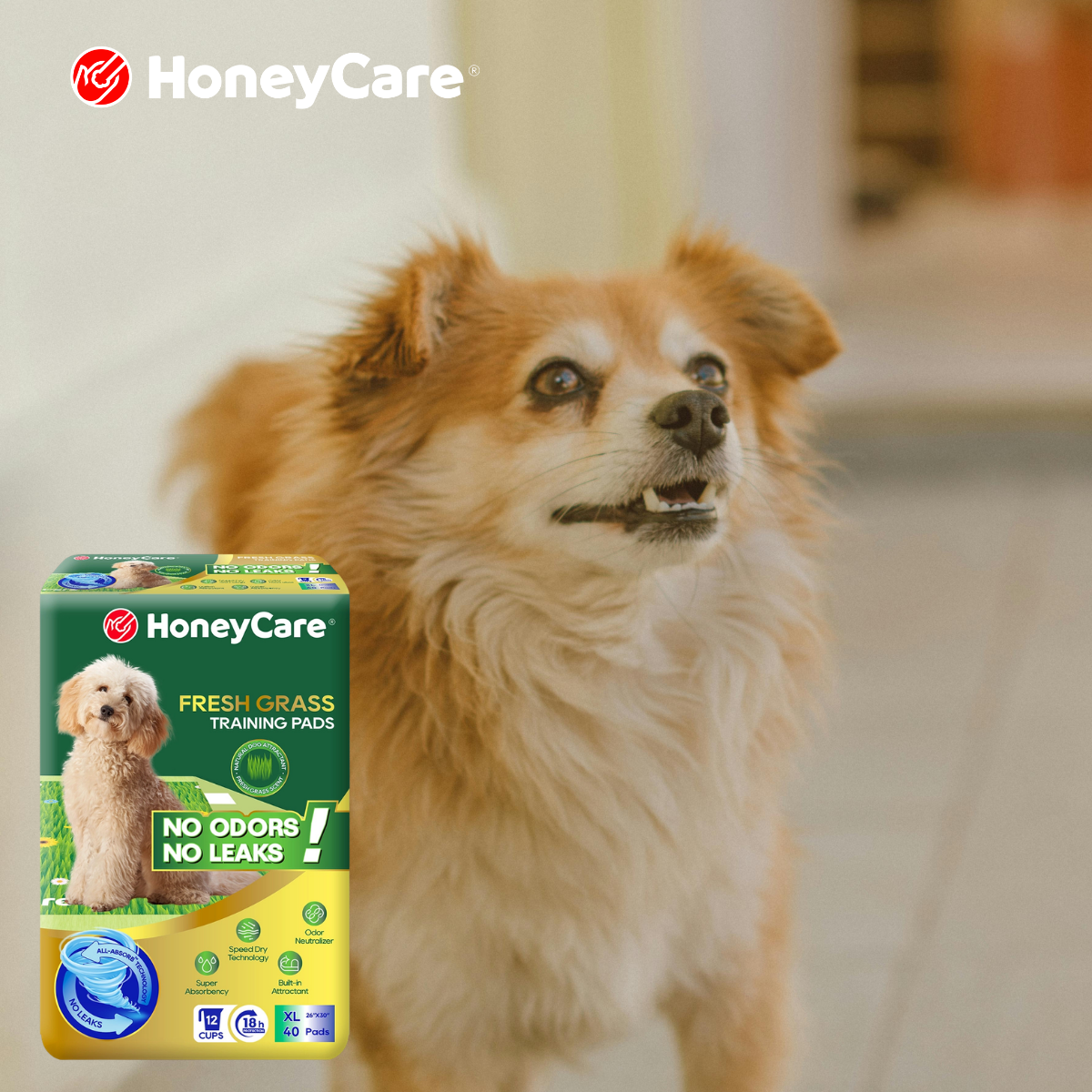 Dog Pee Pad Winter: 7 Powerful Fixes for Brutal Weather