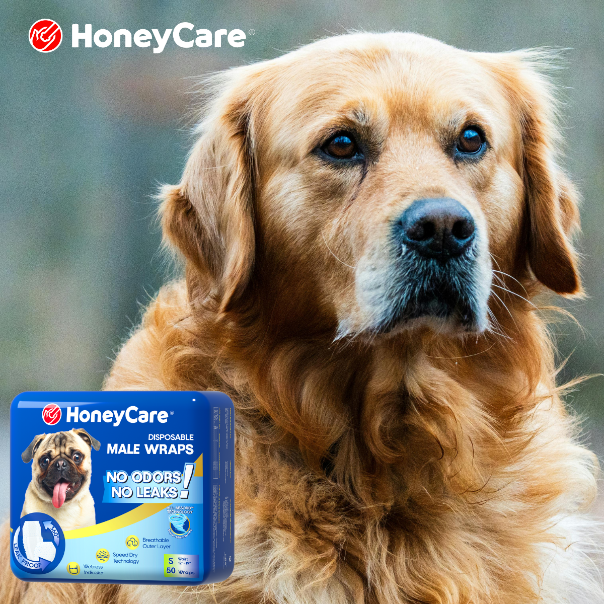 Dog Diaper Tail Hole Leak: Stop This Brutal Mess Fast