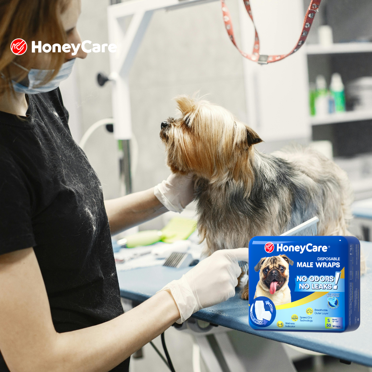 Is Washing Dog Diapers Gross? The Bacteria Truth You Need to Know