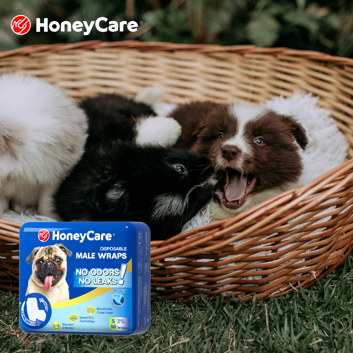Dog Diapers for Poop: Do They Actually Work?