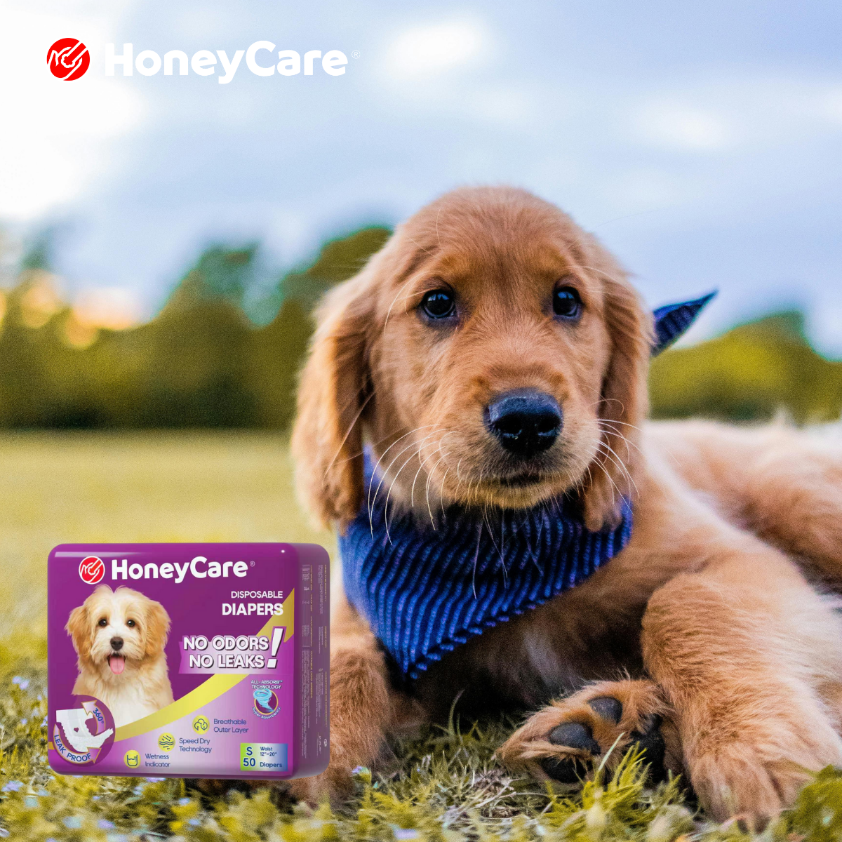 Male Dog Memory Heat: 7 Surprising Truths You’ll Hate