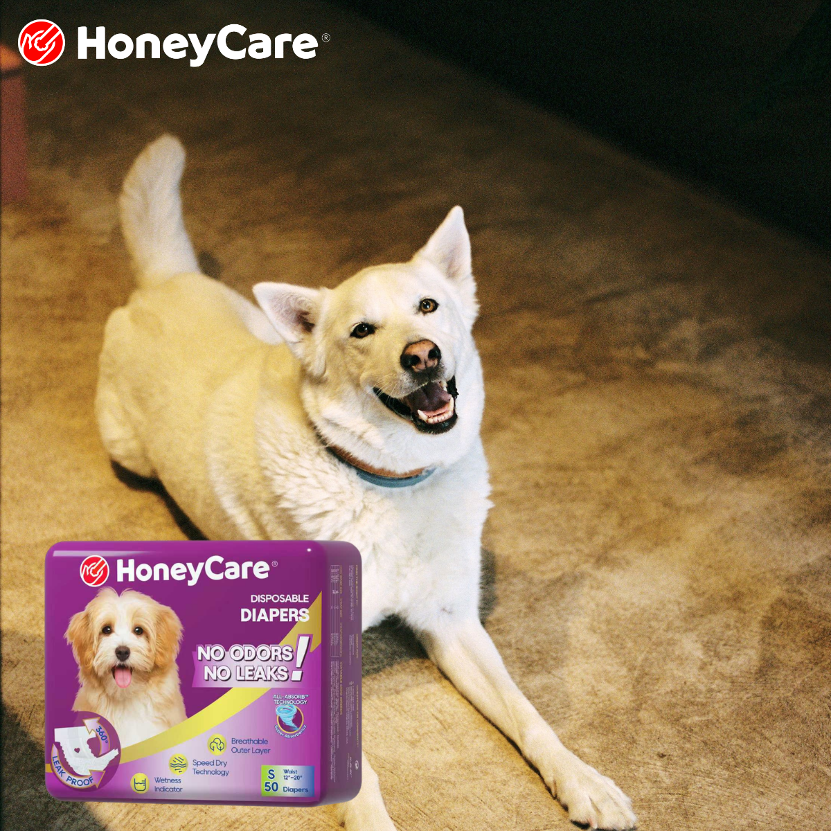 Puppy Chewing Pee Pads? Safe Proven Fixes